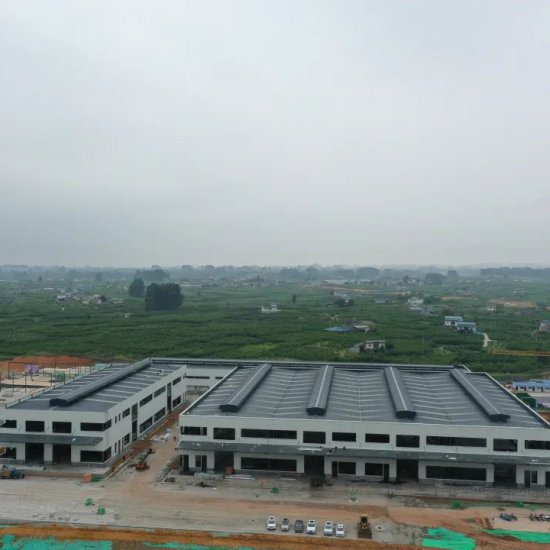 奮進新征程 建功新時代丨中國晚熟柑橘商貿物流園區建設現場